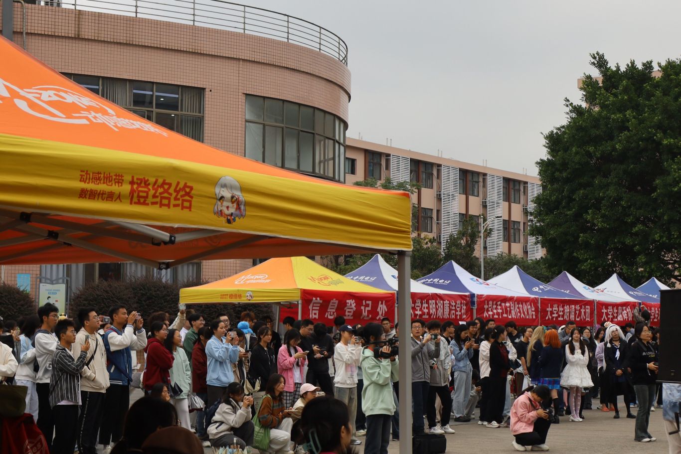 QQ图片20241119220401.jpg