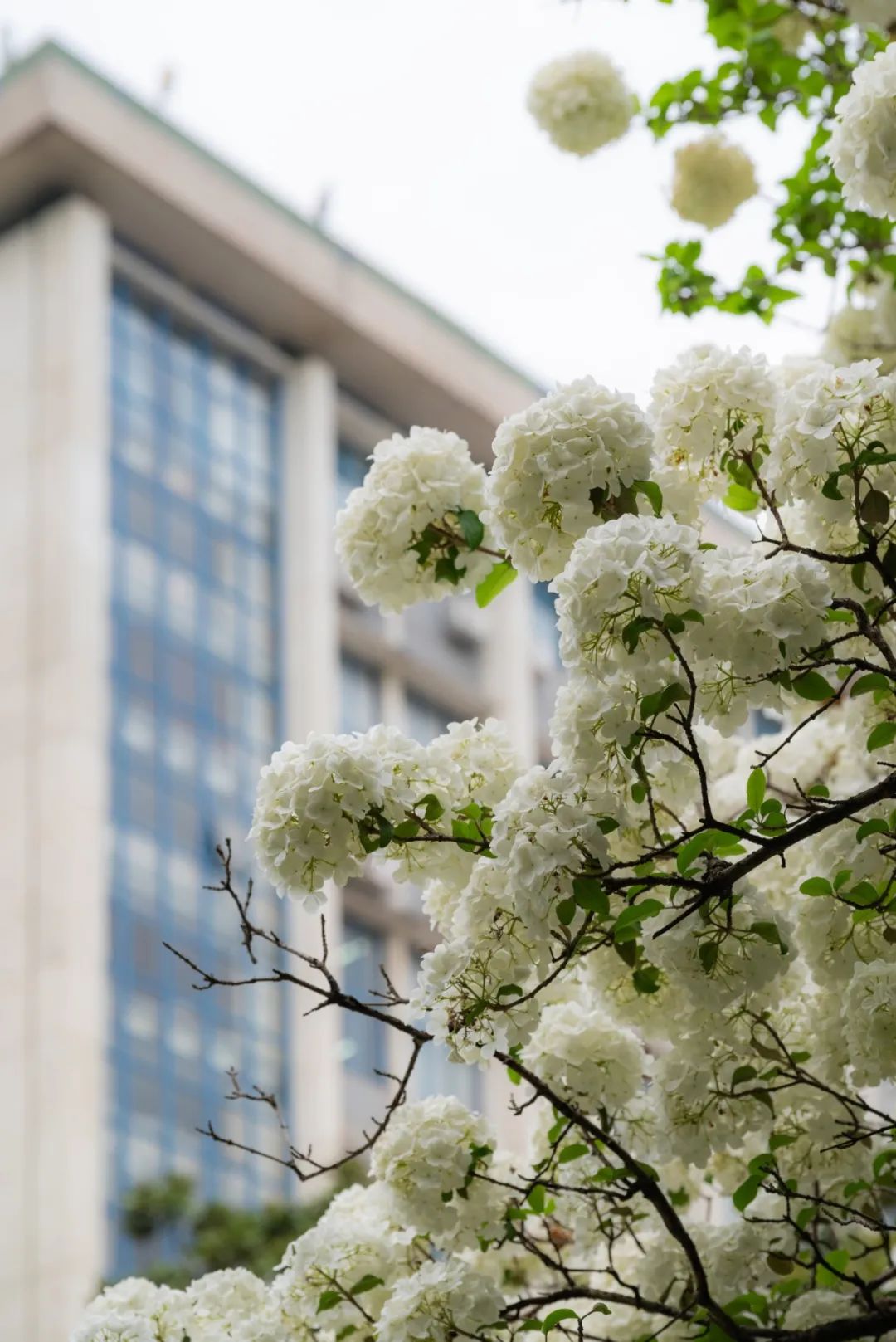 2025-04-11 161825.jpg