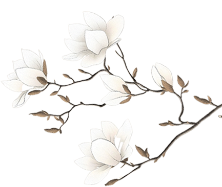 undefined 博物馆1- - 07+.png