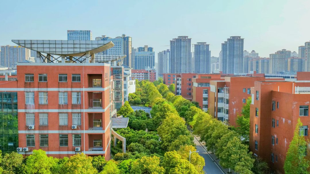 首页>|校园号>|湖南工业大学>夏日炎炎蝉鸣漾入工大的每一个角落阳光
