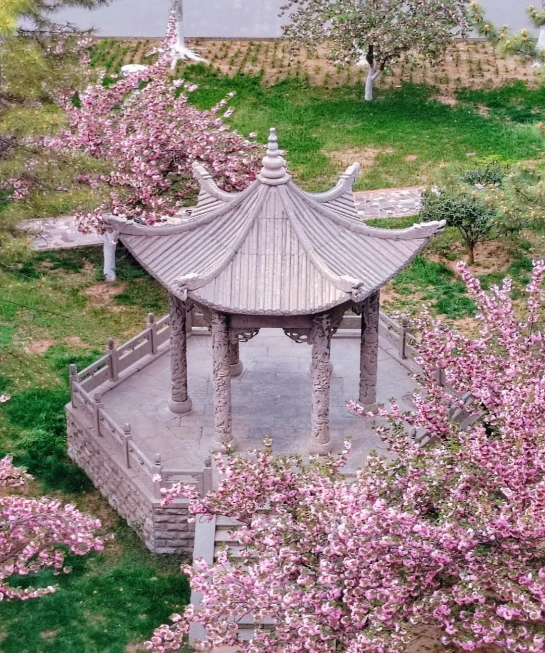 图片51.jpg