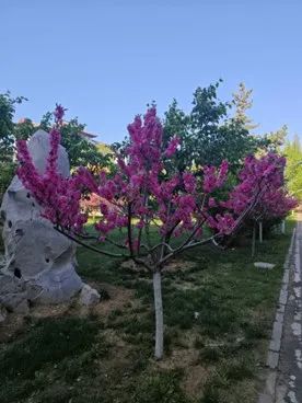 图片27.jpg