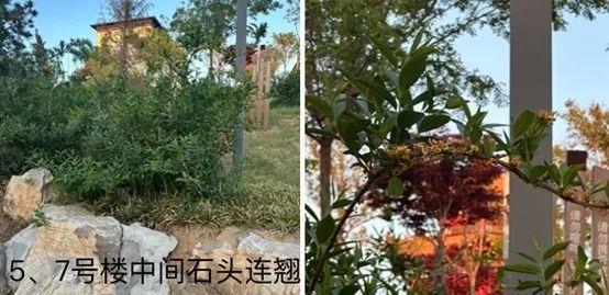 图片48.jpg