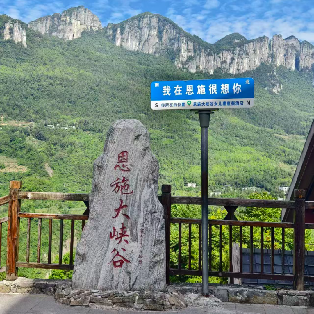 微信图片_2026-01-29_171817_574.jpg