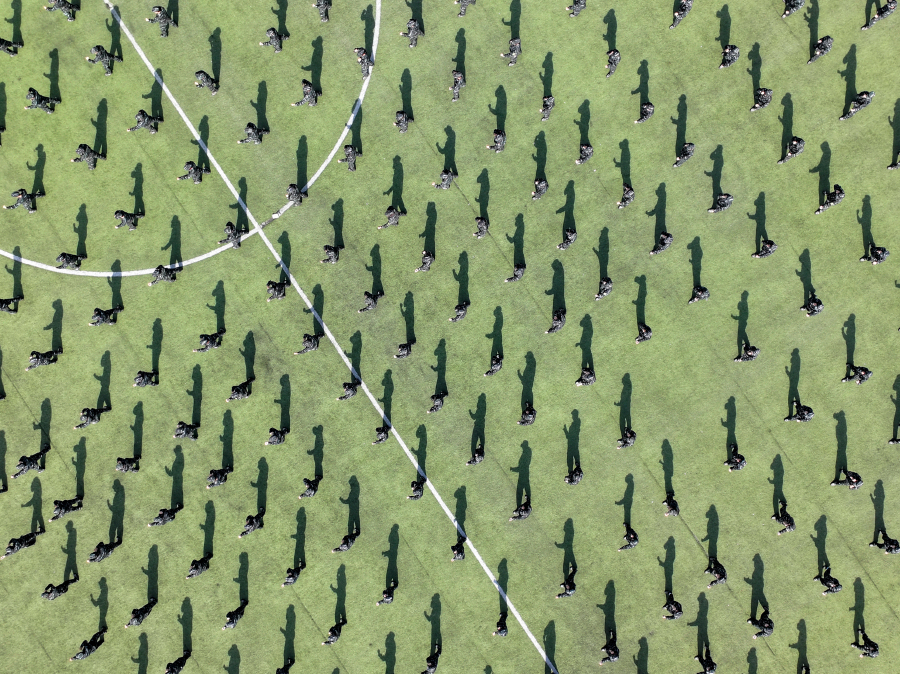 4089362738925949 DJI_20250930100015_0427_D-opq4004402093.jpg