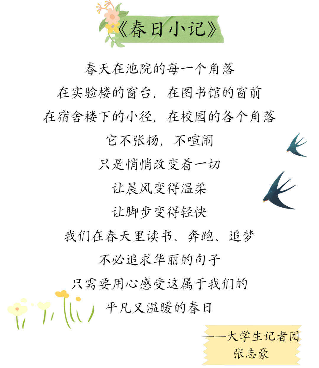 5_20260331_200804_0001.png