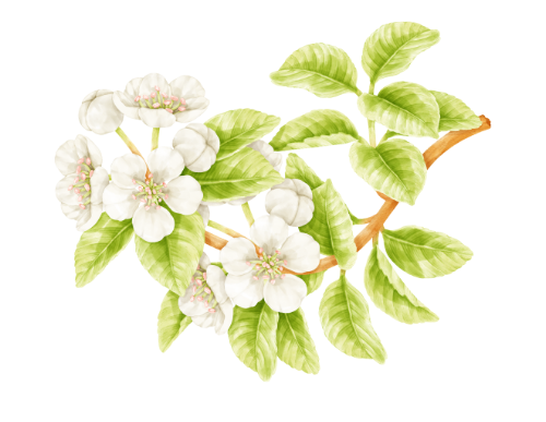 未命名的设计 (5).png