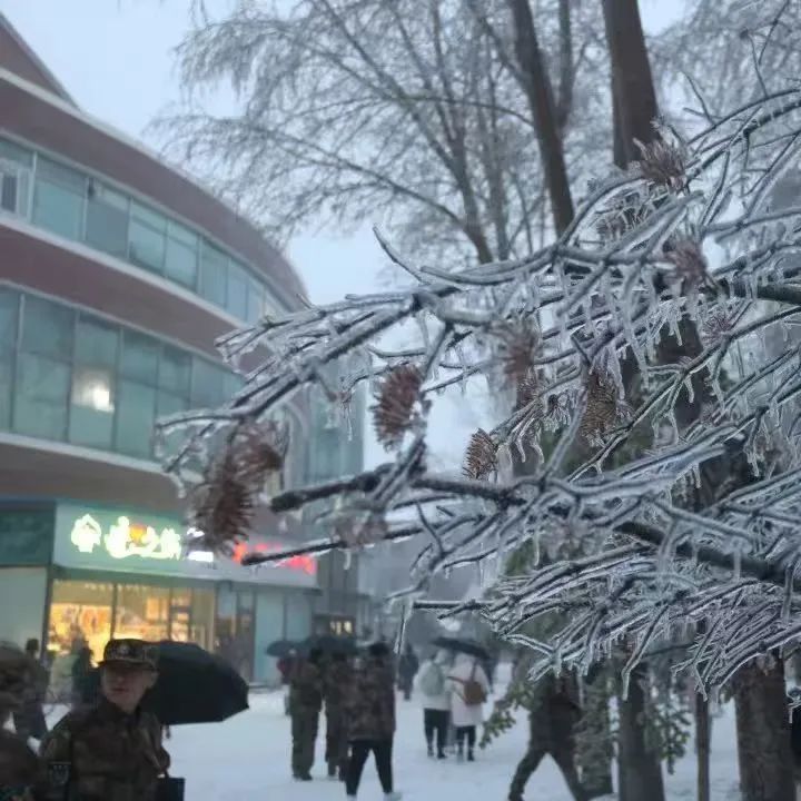 微信图片_20250316204849.jpg