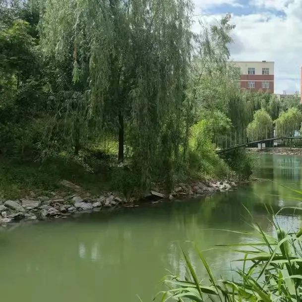 微信图片_20250317121236.jpg