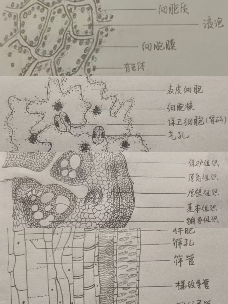 Image1_3.png