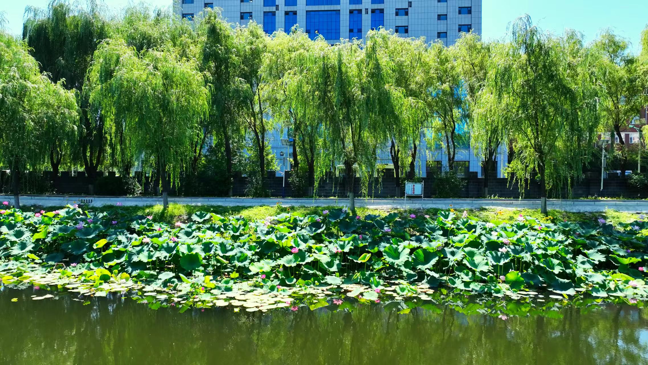 ca49b06dd3cefd8c99501f77401c688f.jpg