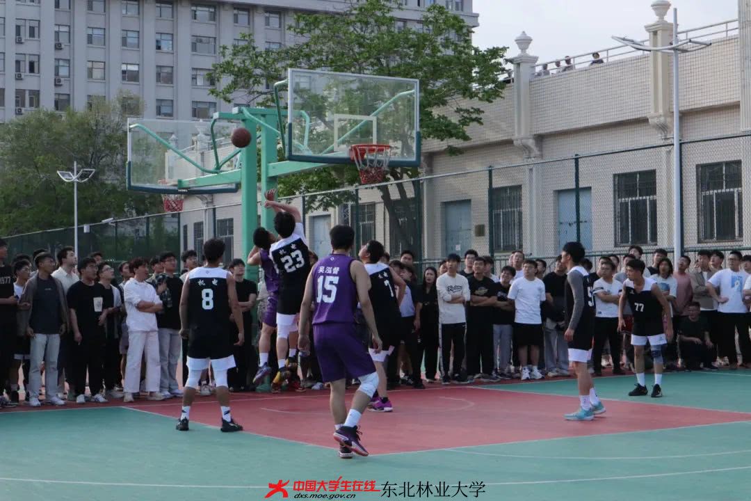 东北林业大学男女比例图片