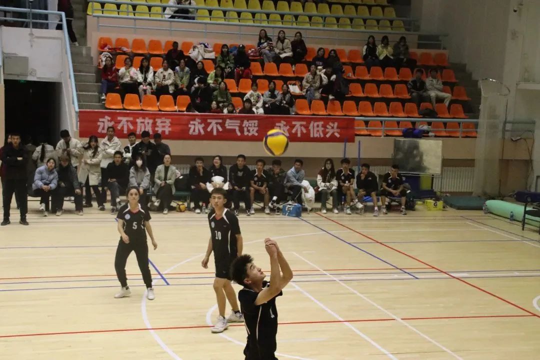 微信图片_20231112203120.jpg 图片