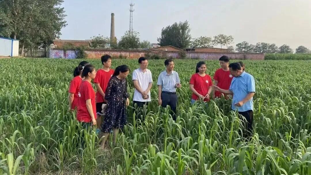 微信图片_20260515165741_740_33.jpg