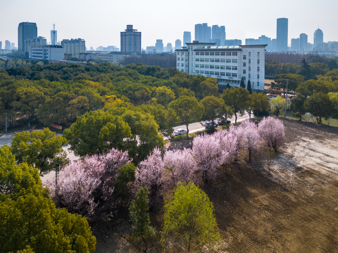 用九宫格"装"起苏州科技大学的春天