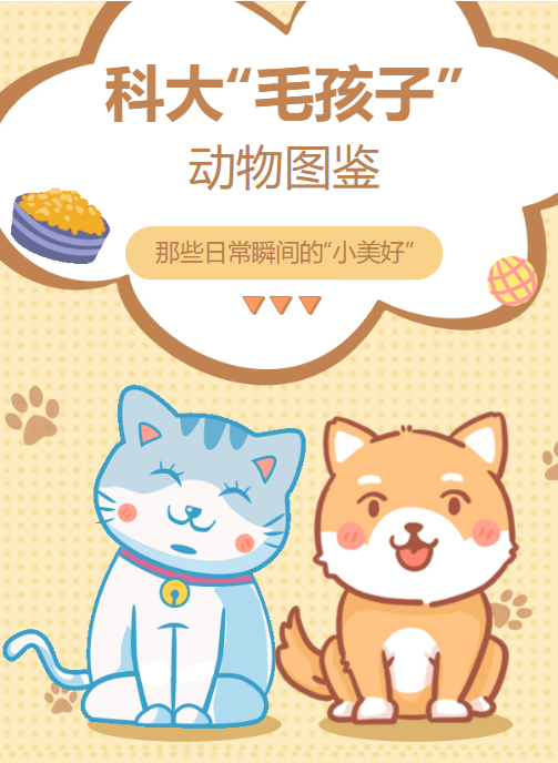 微信圖片_2025-08-03_101517_406.png