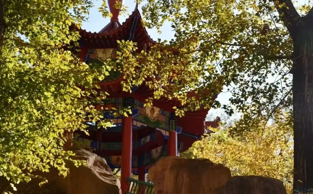 微信图片_20241113162336.jpg