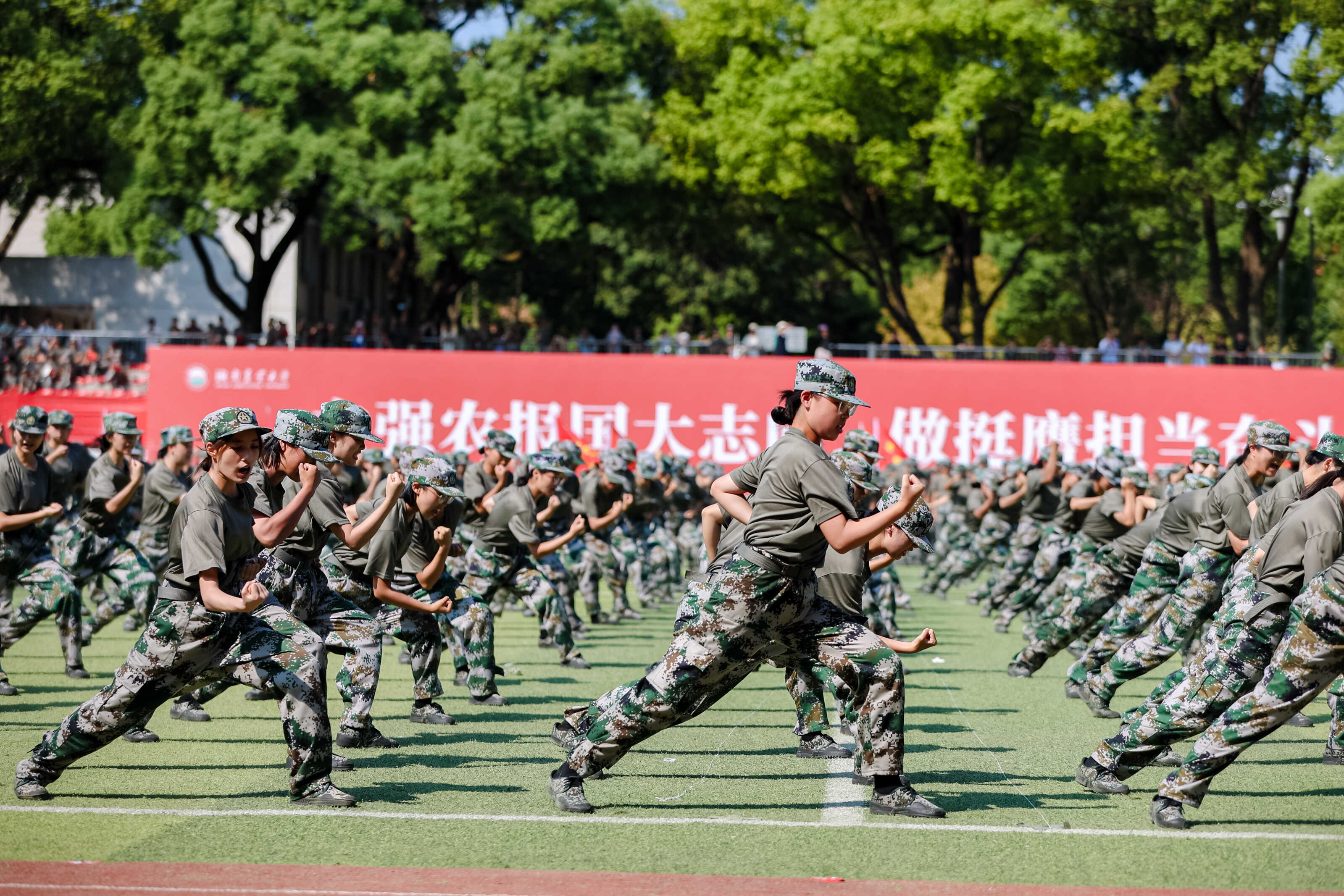 TRX0189.JPG