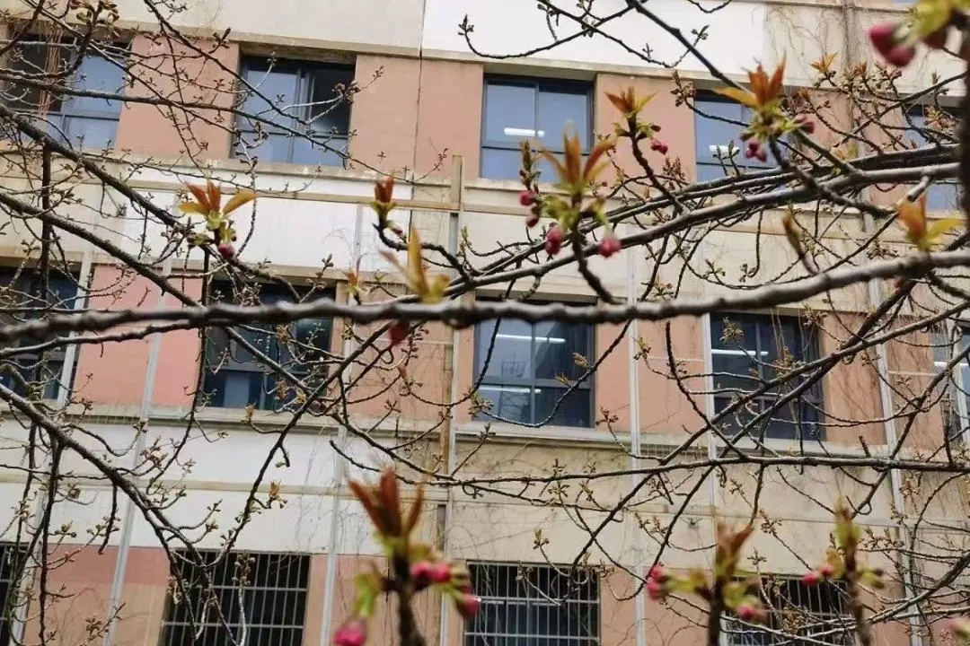 微信图片_20250421191307.jpg