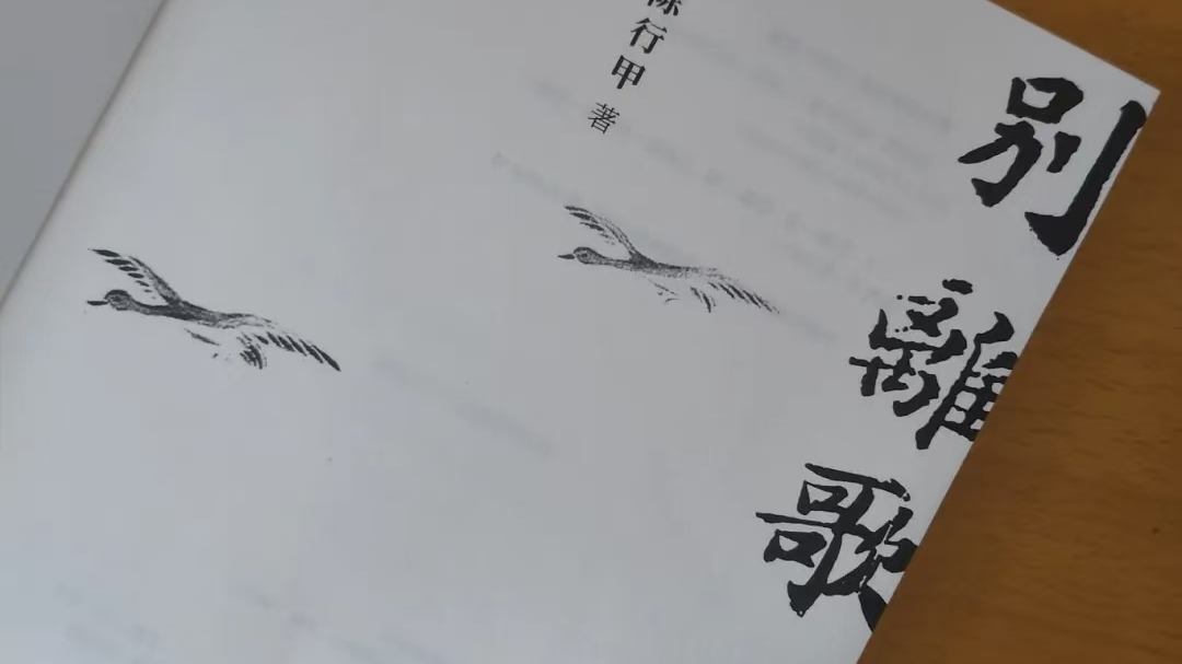 微信图片_20260116195055_9_2.jpg