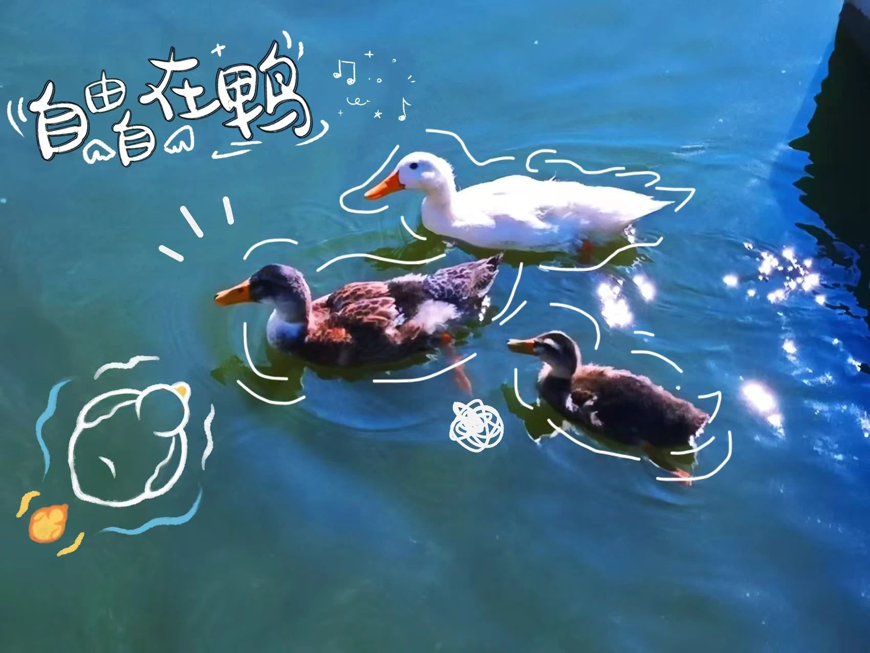 微信圖片_20250523210237.jpg