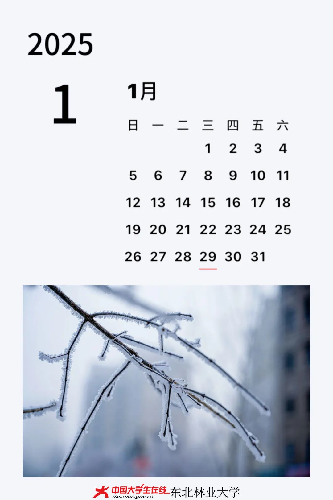 微信图片_20240428131117.jpg 微信图片_20240428131117.jpg