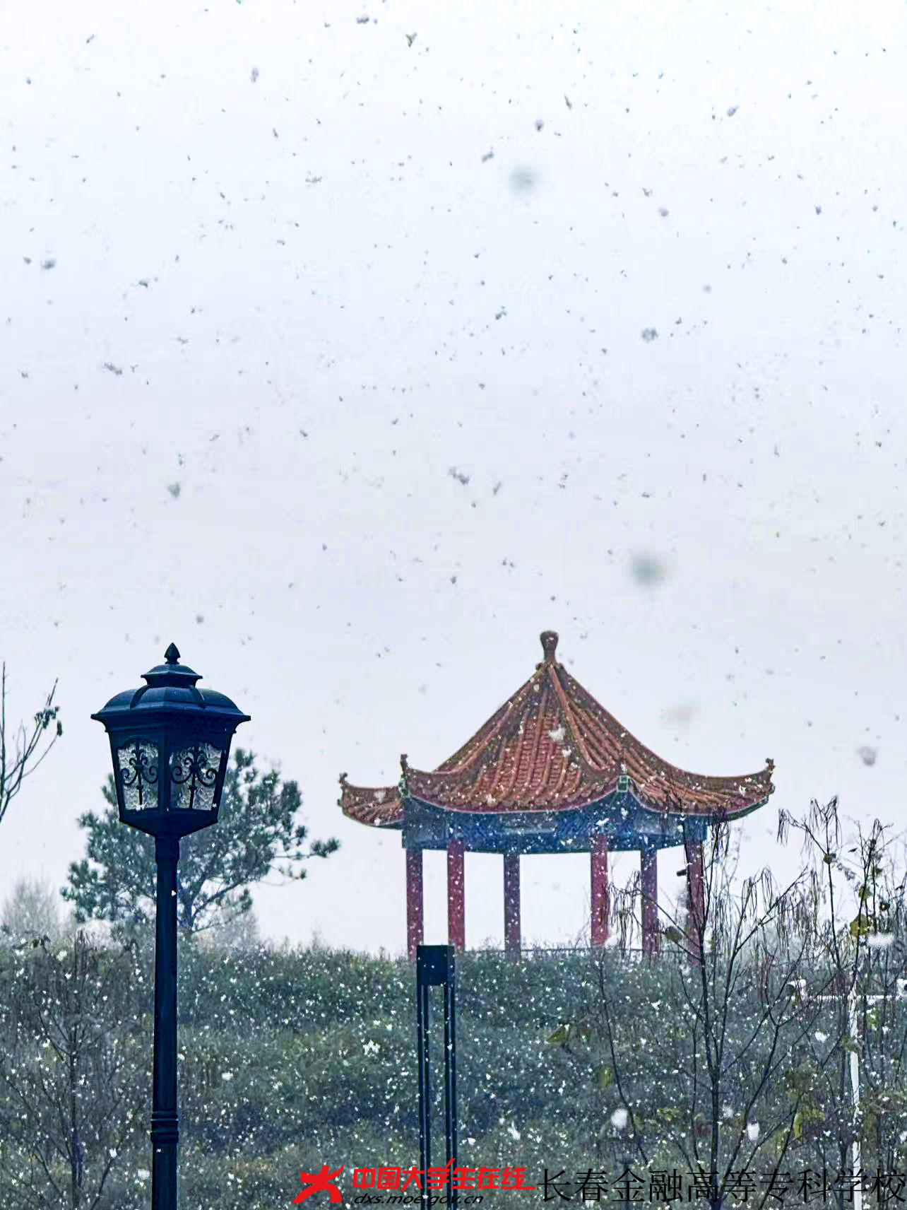 大学生记者团--金专初雪