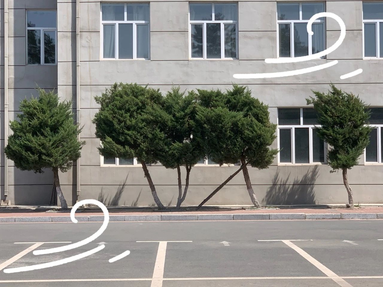 微信图片_20240509121944.jpg 微信图片_20240509121944.jpg