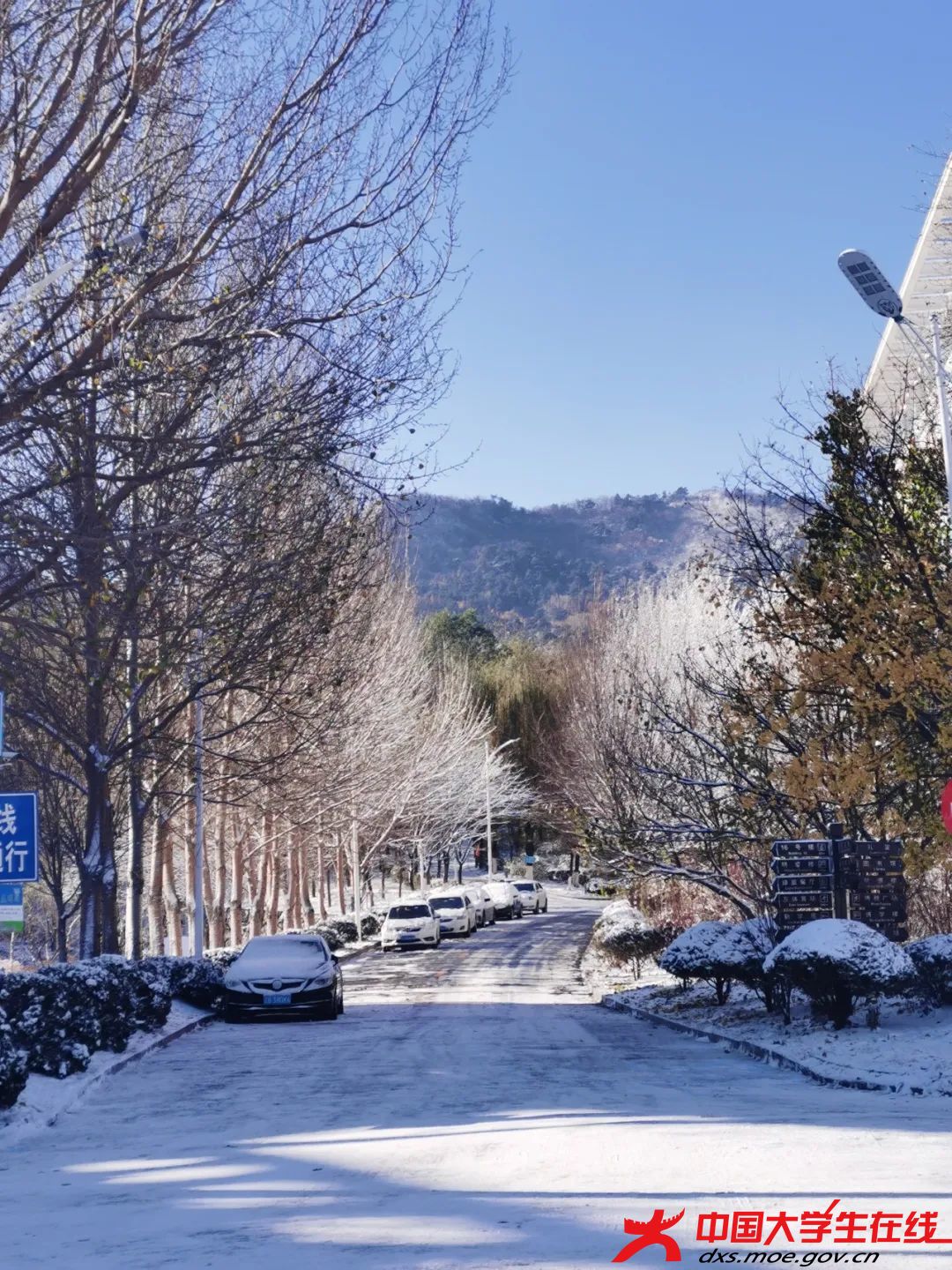 雪落漫漫。刘明摄.jfif