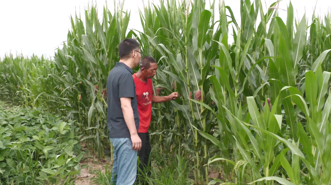 微信图片_20240819011401.png 微信图片_20240819011401.png