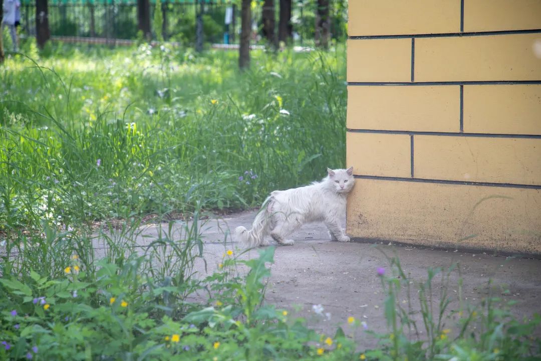 微信图片_20230624201610.jpg 微信图片_20230624201610.jpg