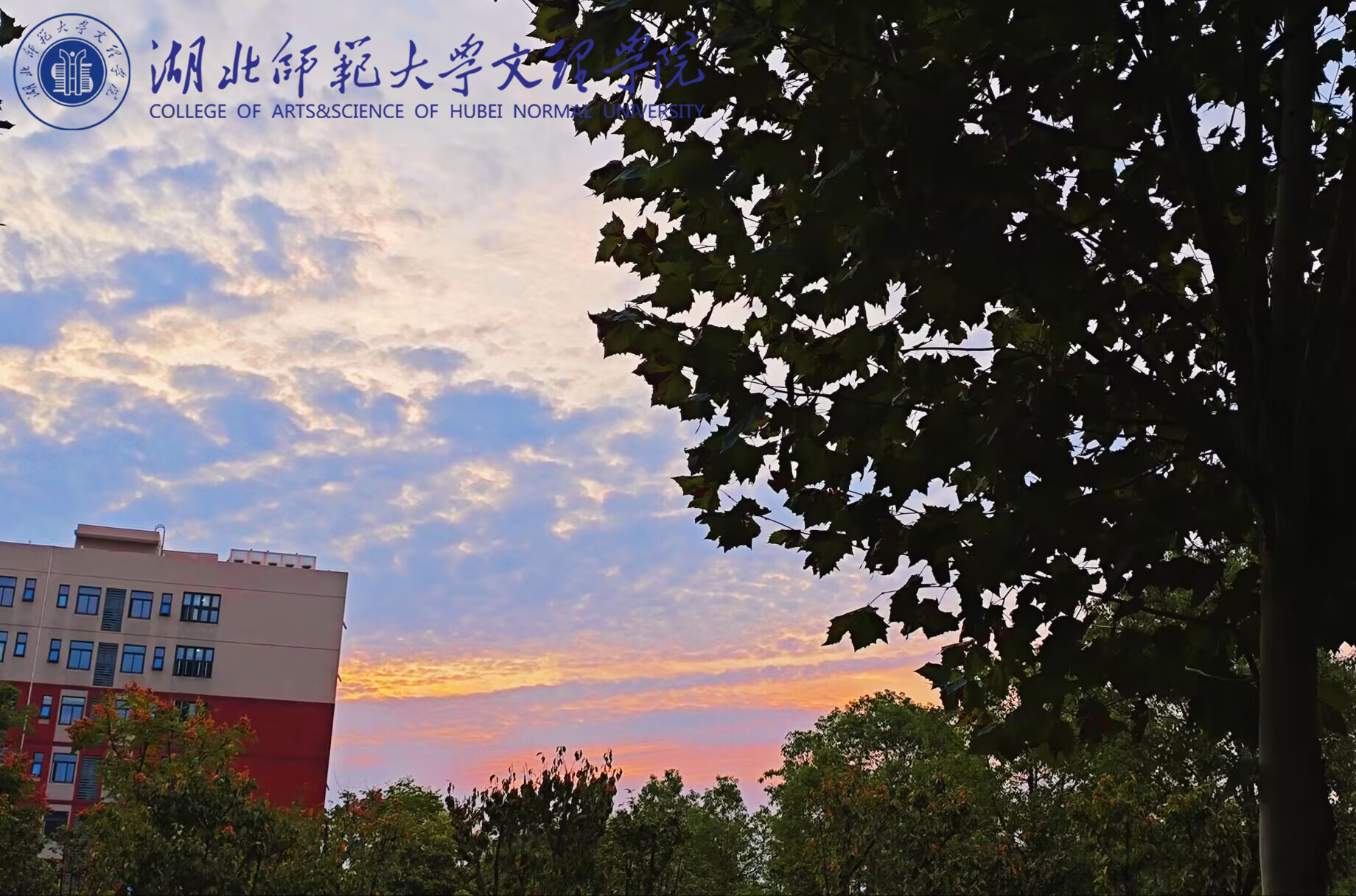 微粉天空 王嘉菲