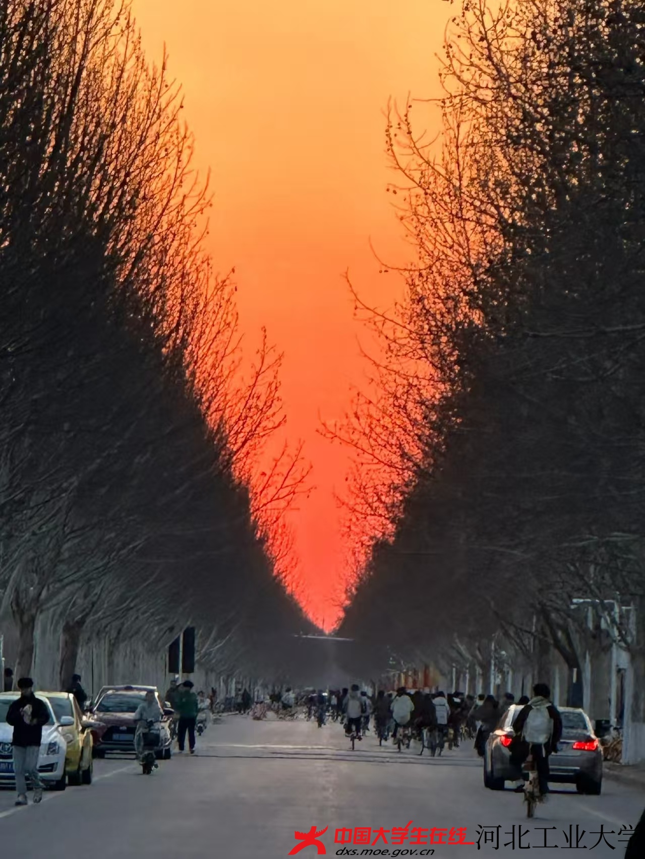 微信图片_20250705202347.jpg