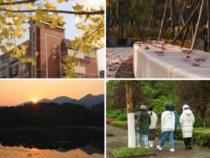 重庆医科大学.jpg 重庆医科大学.jpg