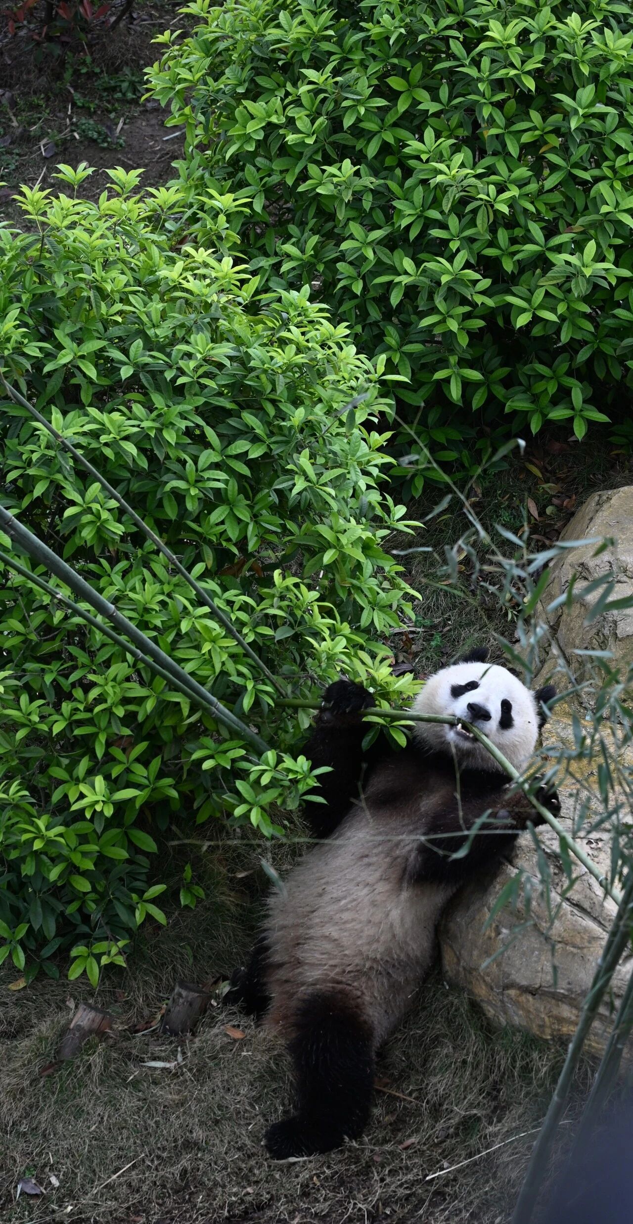 微信图片_2026-05-23_225252_553.jpg