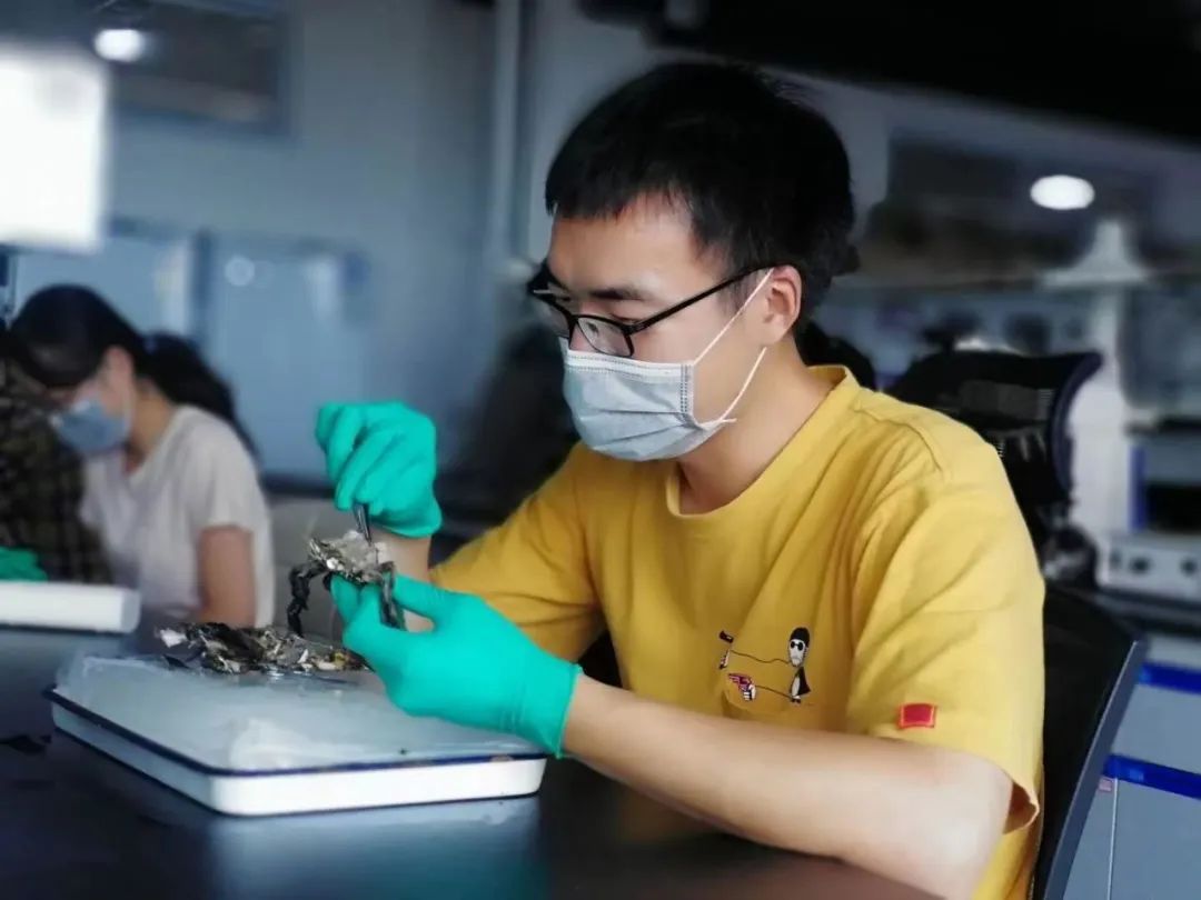 微信图片_20220530103148.jpg 微信图片_20220530103148.jpg