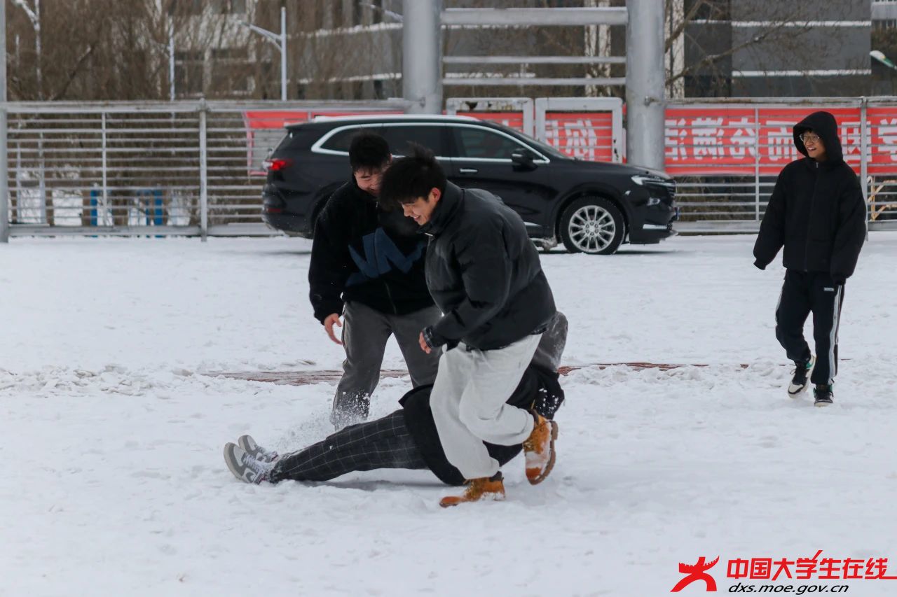 尽情玩耍。张佳欣摄.jpg 尽情玩耍。张佳欣摄.jpg