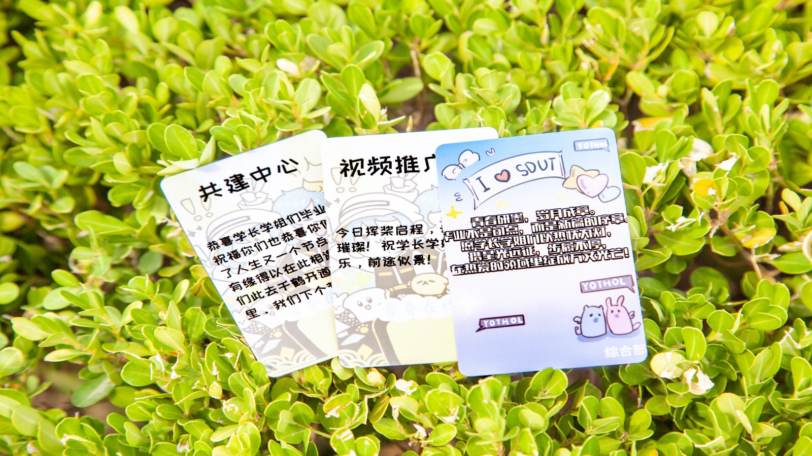 图为山东理工大学青春在线毕业寄语（魏德骁 摄）