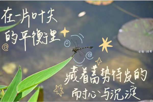 1.png 1.png