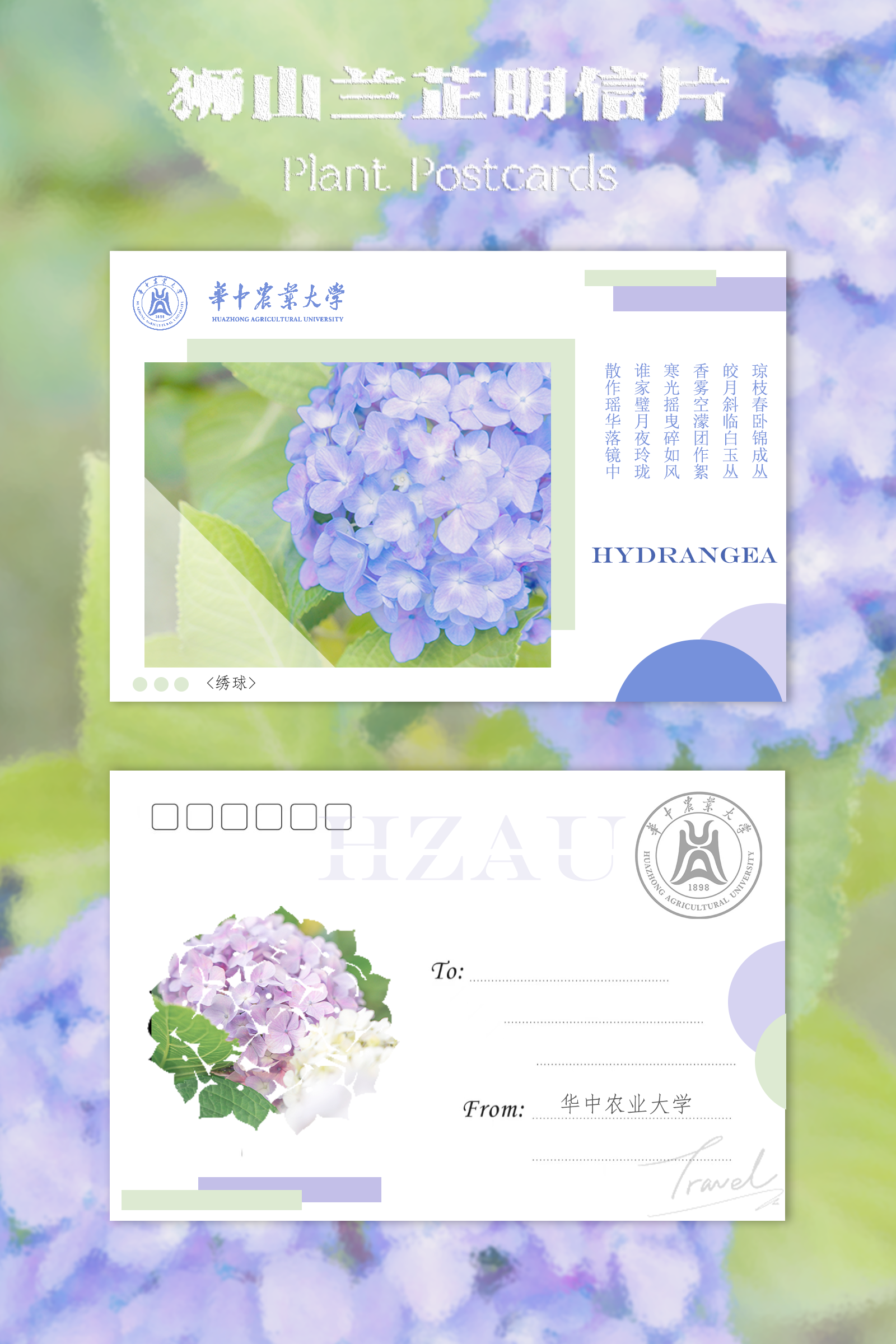 美工｜王亚晶