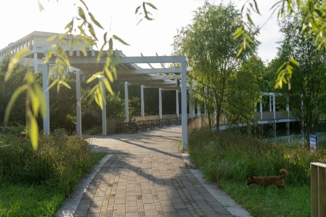 66.jpg 66.jpg