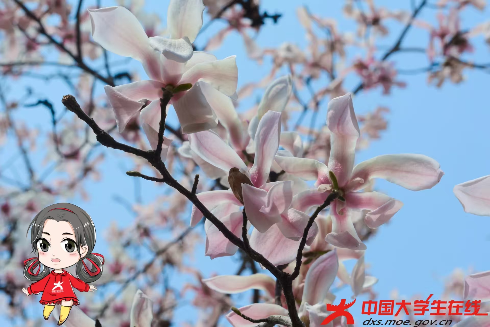 微信图片_20250314220222.jpg 微信图片_20250314220222.jpg