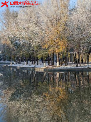 水汽蒸腾间
湖光雪色如梦似幻

2023年11月6日拍摄的渤大雪景 。渤海大学 马晨阳 摄