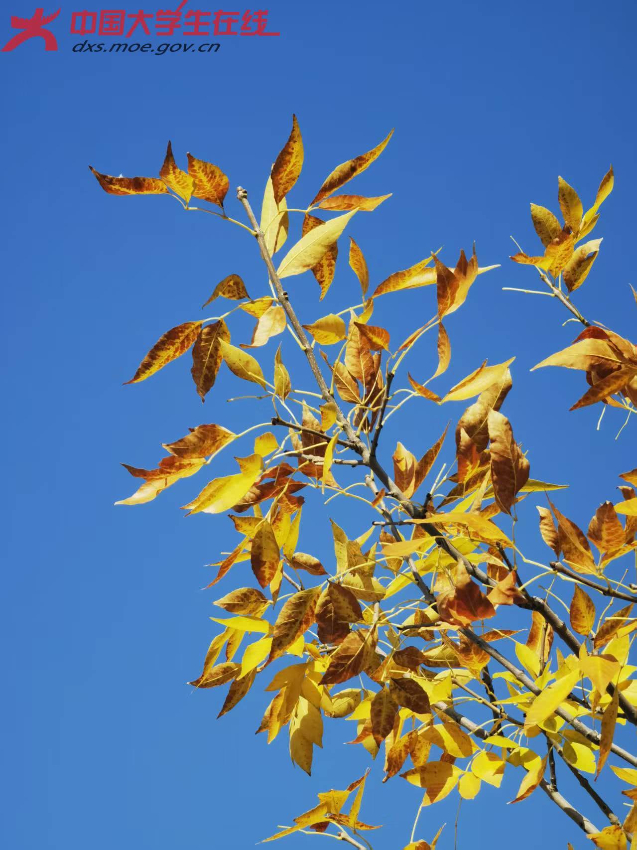 9047a101e2b63f0a14061ed9db9a272a.jpg 9047a101e2b63f0a14061ed9db9a272a.jpg