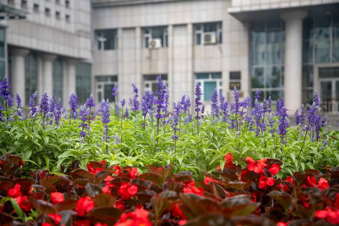微信图片_20230624202204.jpg 微信图片_20230624202204.jpg