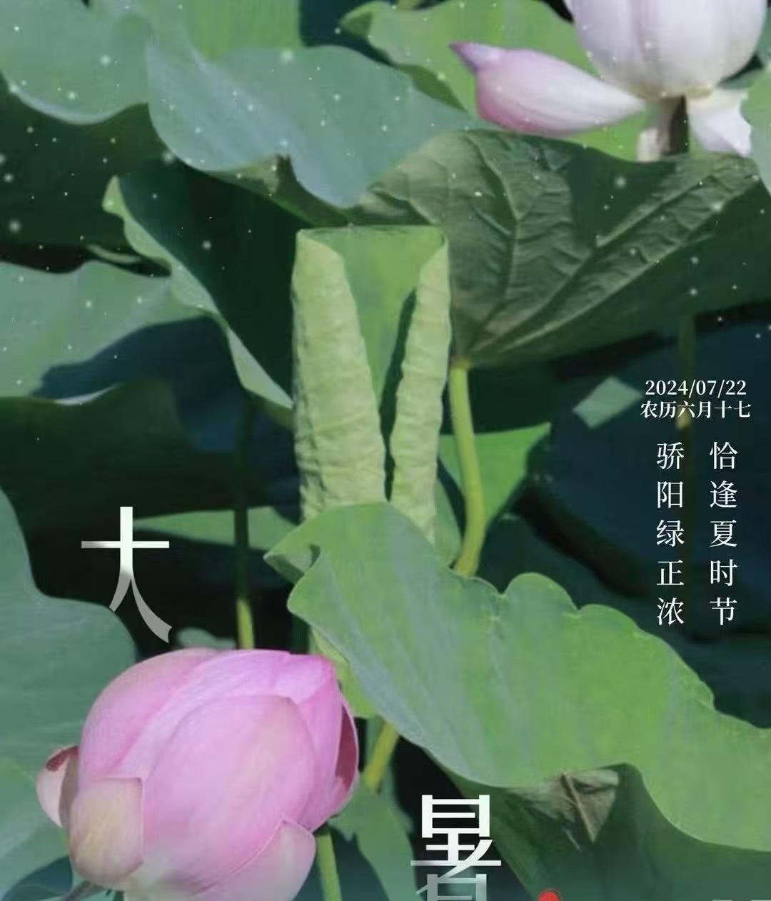 微信图片_20250202185713.jpg 微信图片_20250202185713.jpg