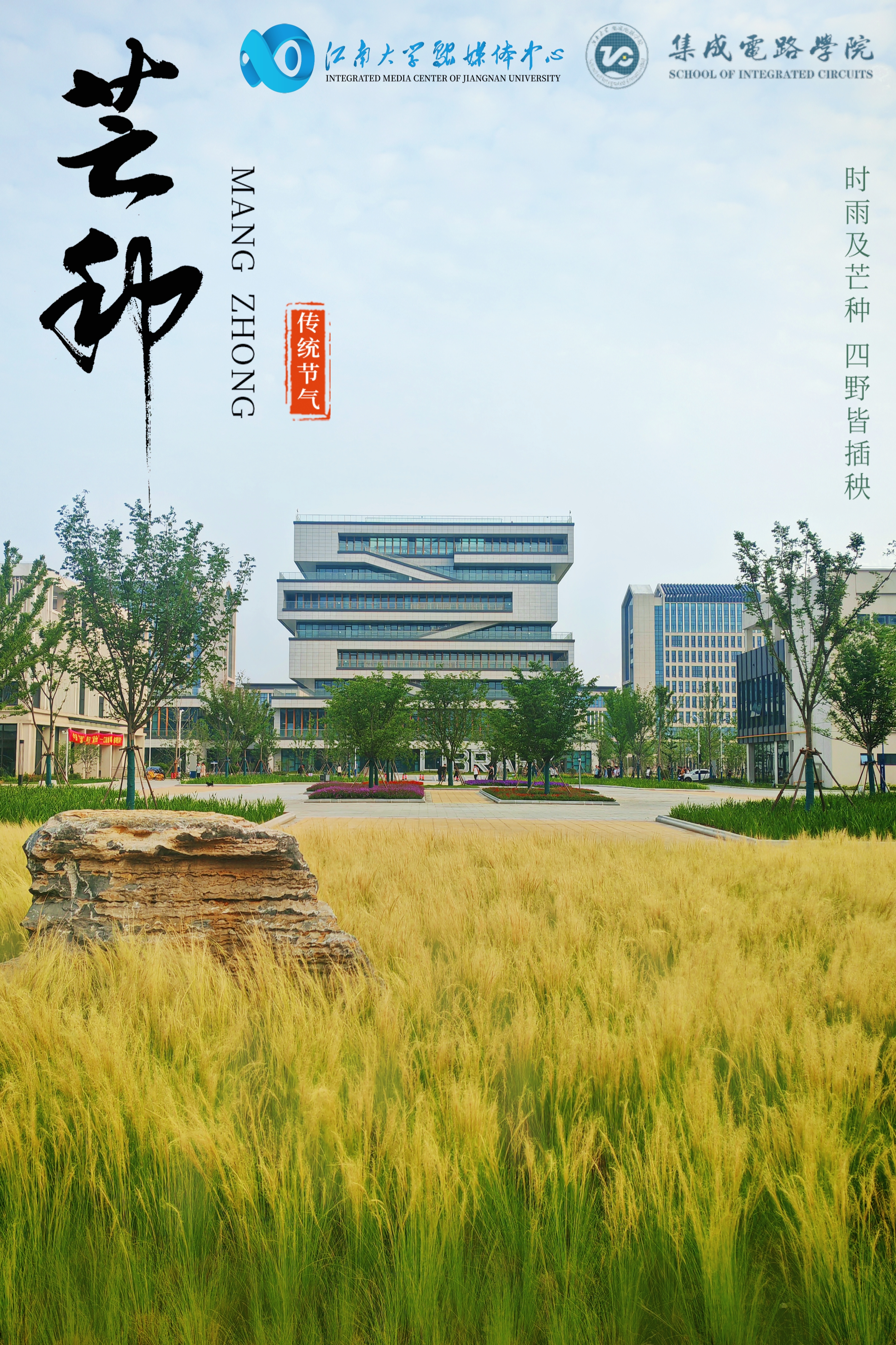 时雨及芒种，四野皆插秧（图片来源：江南大学）