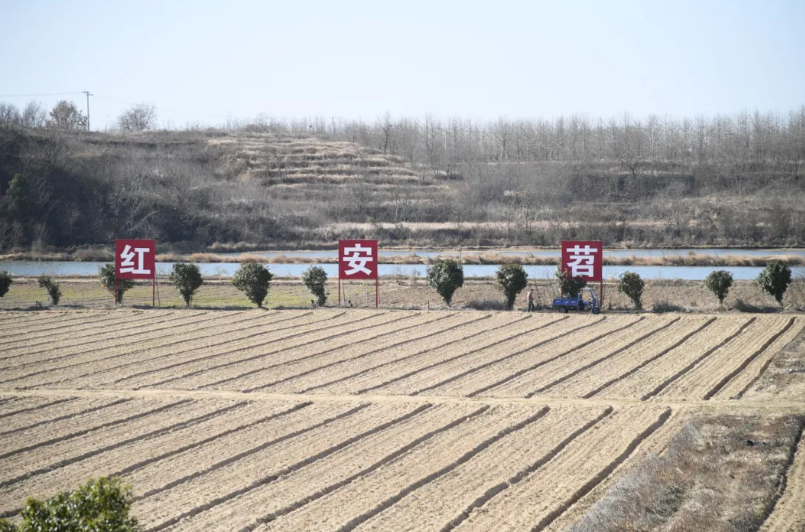 屏幕截图 2025-02-10 220112.png