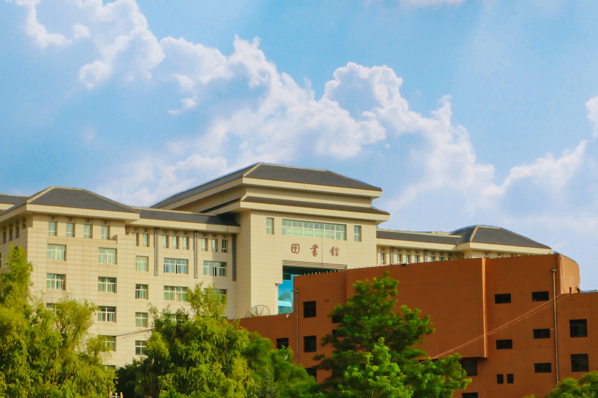 首页>|校园号>|延安大学>步入大学,讲话要酷酷的,走路要稳稳的,睡觉要