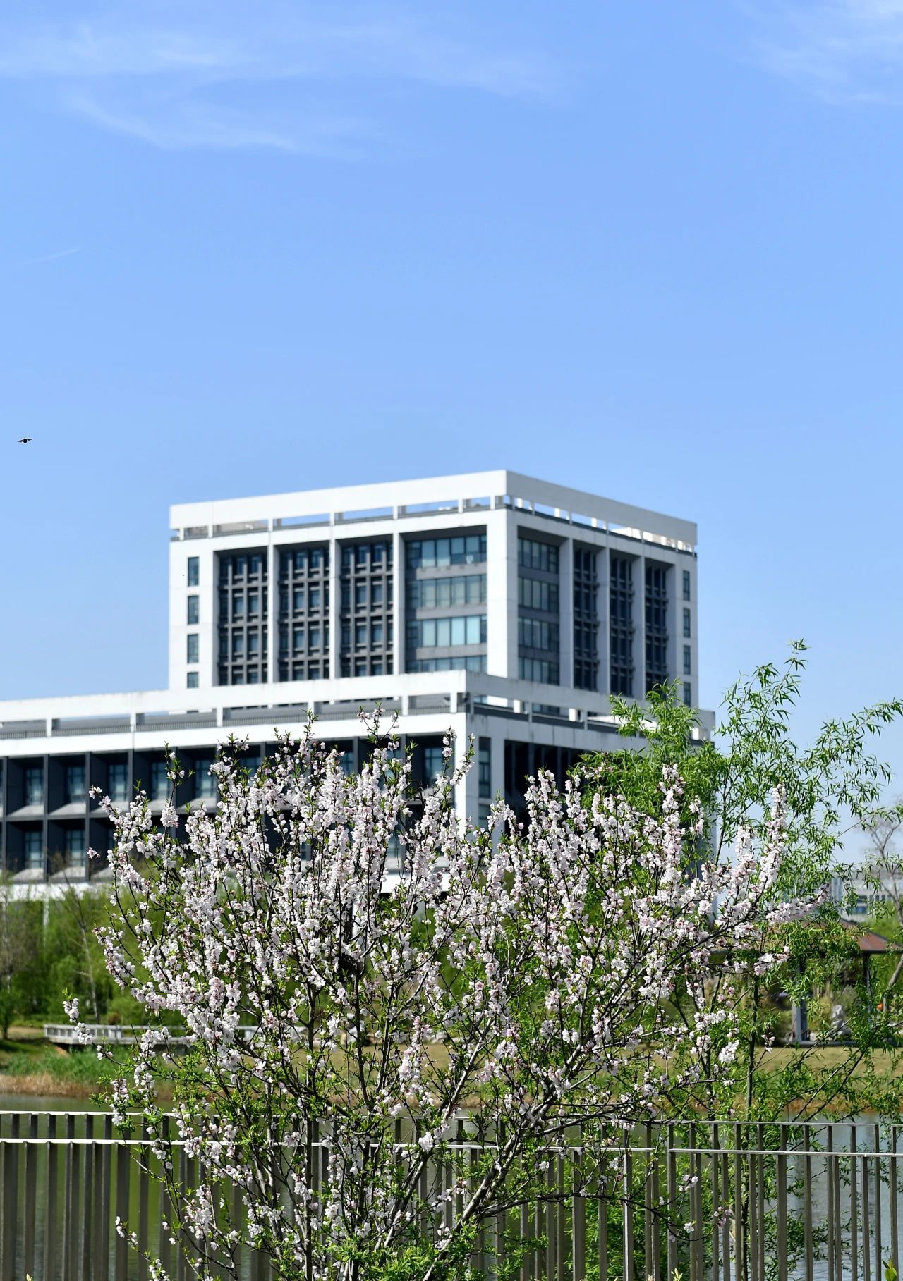 微信图片_20240410150851.jpg 微信图片_20240410150851.jpg